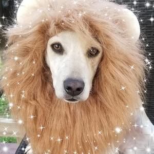 Meet your Posher, Kellie